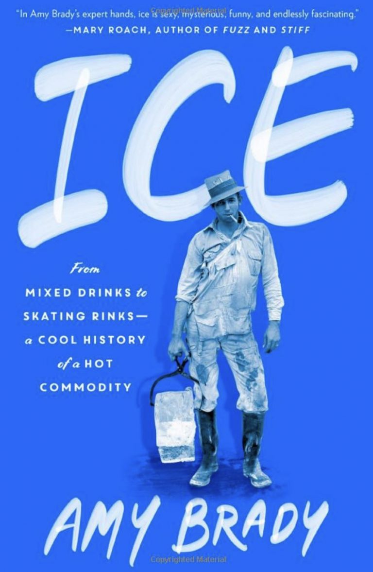 Ice, kirjan kansi